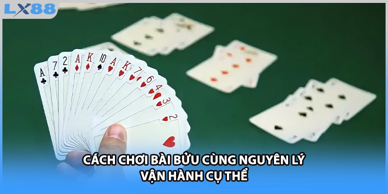 Cách chơi bài bửu cùng nguyên lý vận hành cụ thể 